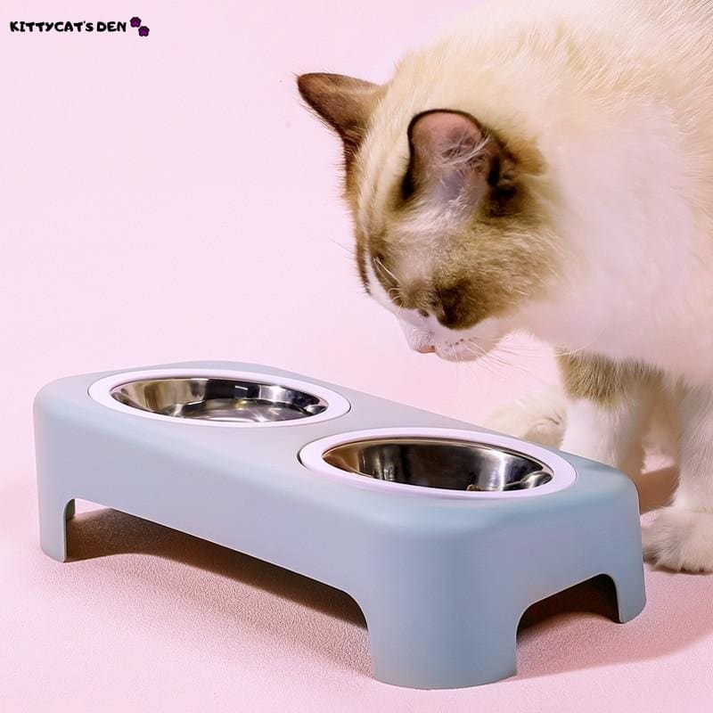 http://kittycatden.com/cdn/shop/products/elevated-tilted-double-stainless-steel-small-cat-food-water-bowl-feeders-326.jpg?v=1615299492