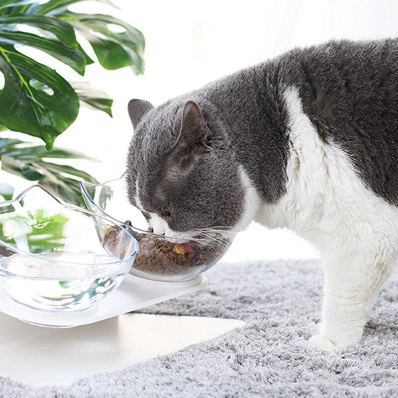 The Best Cat Feeders and Bowls for 2021