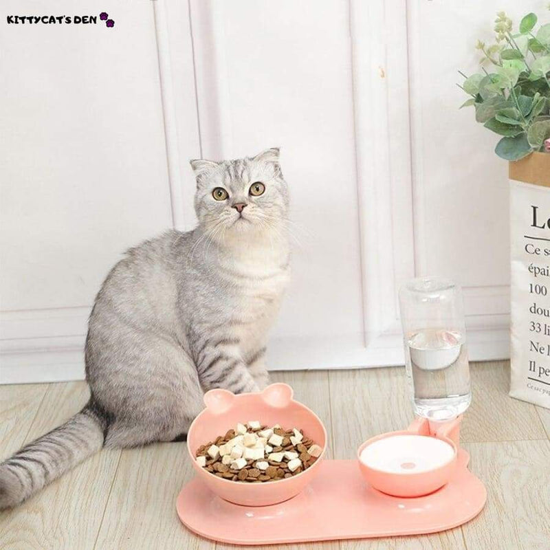 Elevated Anti Vomiting Cat Food Bowl + Water Dispenser. 