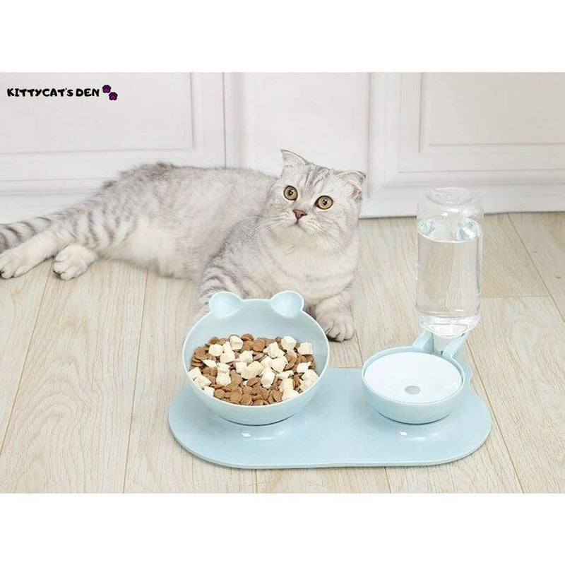 Elevated Anti Vomiting Cat Food Bowl + Water Dispenser. 