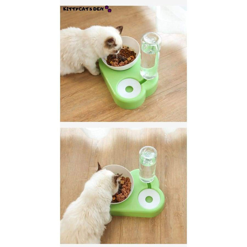 Elevated Anti Vomiting Cat Food & Water Bowl + Automatic 