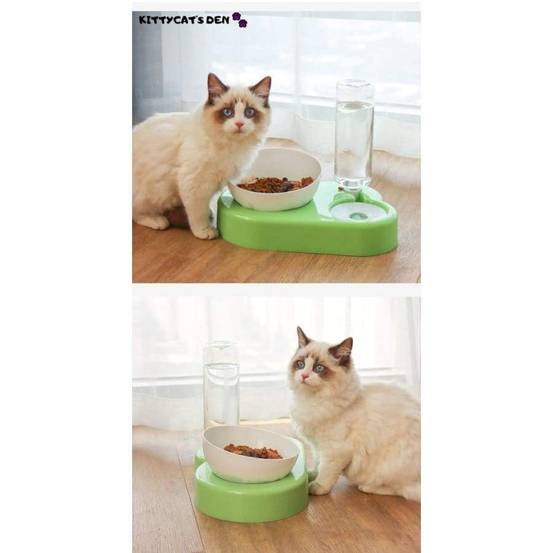 Elevated Anti Vomiting Cat Food & Water Bowl + Automatic 