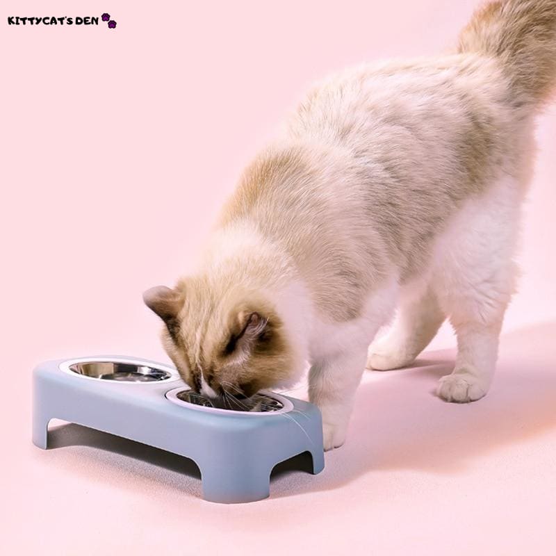 Elevated & Tilted Double Stainless Steel Small Cat Food & 
