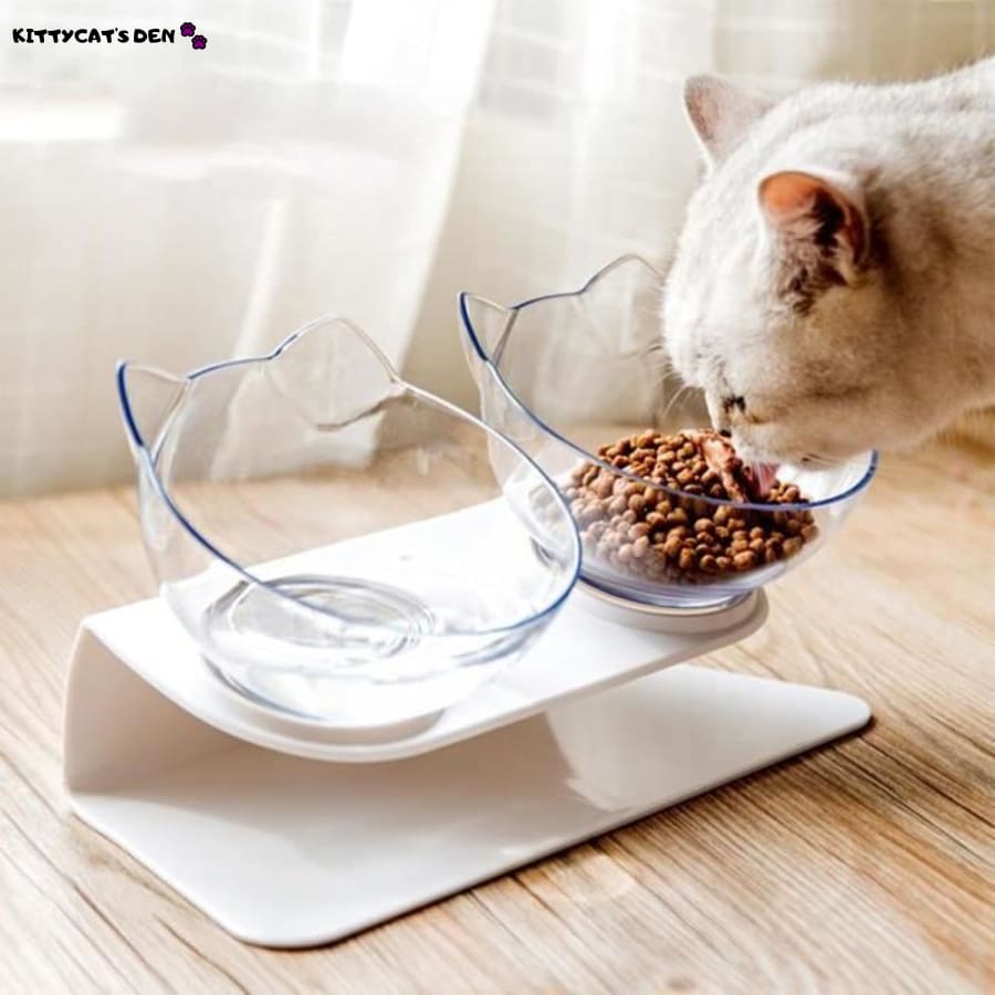 https://kittycatden.com/cdn/shop/products/non-slip-tilted-cat-single-and-double-foodwater-bowls-with-raised-stand-feeders-190_1024x.jpg?v=1612806702