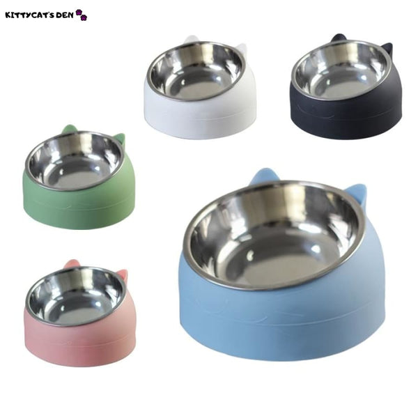 BNOSDM Tilted Dog Cat Bowls Set 2 Pcs Removable Stainless Steel